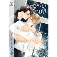ราคา สถาพรบุ๊คส์ หนังสือ นิยาย นิยายวาย Love Storm พายุรักโถมใจ โดย MAME พร้อมส่ง (4615059543)