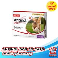 ราคา EXP9-2024 Antinol dog 60 เม็ด วิตามินบำรุงข้อสำหรับสุนัขทุกสายพันธุ์ (13703043256)