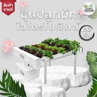ราคา FG ชุดปลูกผักไฮโดรโปนิกส์ 30 ต้น ขนาด 1 เมตร 5 ราง (1378207888)
