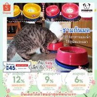 ราคา ชามใส่อาหาร สุนัขและแมว กันมด ชามกันมด (317238640)