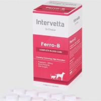 ราคา [100 เม็ด] Dr.Choice Ferro-B บำรุงเลือด Exp.06/2024 แม่พันธุ์ หมาท้อง ให้นมลูก บำรุงหลังผ่าตัด โลหิตจาง (5303363503)