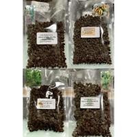 ราคา เมล็ดพันธุ์มะละกอ ของแท้จากฟาร์ม ราคาถูก!!! (3822973633)