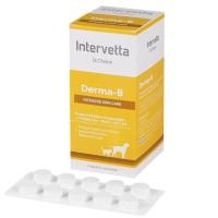 ราคา [แบ่งขาย] Dr.Choice Derma-B อาหารเสริม สุนัข-แมว บำรุงขนและผิวหนัง (1645849042)