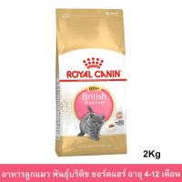 ราคา Royal Canin British Shorthair Kitten [2kg] อาหารแมว รอยัลคานิน สูตรลูกแมว บริติช ช็อตแฮร์ (1141105417)