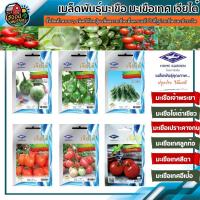 ราคา เมล็ดพันธุ์ มะเขือ มะเขือเทศ เจียไต๋ OP ผักซอง มะเขือ เจ้าพระยา,ไข่เต่าเขียว,เปราะคางกบ มะเขือเทศ ลูกท้อ,สีดา,อีเป๋อ (3956081688)