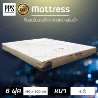 ราคา (ASHJUL01 ลดเพิ่ม 65) ที่นอนเสริมใยมะพร้าว 6 ฟุต เสริมด้วยฟองอัด+ฟองน้ำ หนา6นิ้ว รุ่นรีเจนท์ ผ้านอก สีครีม ส่งฟรี (5639550535)