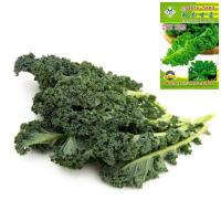 ราคา เมล็ดเคลใบหงิก120-140เมล็ด สายพันธุ์ฮอลแลนด์ Vate Blue Curled Kale สายพันธุ์ OP (9715376516)