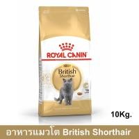 ราคา Royal Canin British Shorthair Adult [10kg] รอยัล คานิน อาหารแมวโต พันธุ์บริติช ช็อตแฮร์ (1141106481)