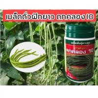 ราคา เมล็ดถั่วฝักยาว ถั่วเนื้อ ด้วง ดกคลอง 10 ขนาด 500 กรัม (3557033382)