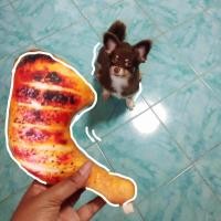 ราคา ของเล่นแมว ตุ๊กตาสะโพกไก่ย่าง มีกระดิ่งของเล่นสัตว์เลี้ยง (หมาแมว) สำหรับน้องหมา น้องแมวเพื่อผ่อนคลายหายเครียด (3910165781)