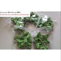 ราคา ใบสามแฉก กลีบเลี้ยงสามแฉก ใบผ้า ใบไม้ผ้า (3108720957)
