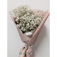 ราคา ช่อดอกไม้แห้ง ดอกยิปโซสีขาวแห้งธรรมชาติ ขนาด 30-35 cm (1902878848)