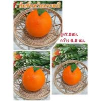 ราคา ผลไม้ปลอม โมเดลส้มซันควิสเกรดบี (น้ำหนักเบา) (3216972757)