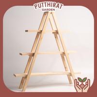 ราคา ชั้นไม้สนทรง A 3 ชั้น ชั้นวางแคคตัส ชั้นวางต้นไม้ ชั้นไม้ DIY (6837362210)