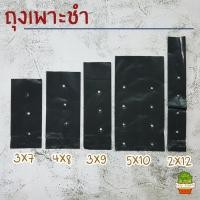 ราคา ถุงเพาะชำ ถุงเพาะกล้า สีดำ เจาะรู ถุงเพาะกล้าไม้ ถุงดำเพาะต้นไม้ ถุงเพาะผัก ถุงเพาะชำสีดำ ถุงเพาะทุเรียน (4044747993)