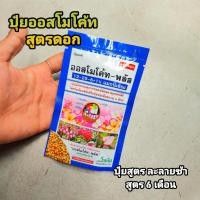ราคา [JPWTUG ลด 10%] ออส เงิน เล็ก // ออสโมโค้ท-พลัส สูตรดอก 12-25-6+1% แมกนีเซียม 100 กรัม ปุ๋ยเม็ด ปุ๋ยละลายช้า เร่งดอก (4270244053)