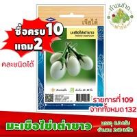 ราคา (ซื้อ10แถม2) เมล็ดพันธุ์ มะเขือ ไข่เต่า ขาว Round eggplant ประมาณ 240เมล็ด เจียไต๋ เมล็ดพันธุ์พืช เมล็ดพันธุ์ผัก (3918103555)