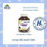 ราคา Naturemate Bilberry (Extract 80 mg.)เนเจอร์เมท บิลเบอร์รี่ 80 มิลลิกรัม 60 แคปซูลมาตรฐานจากUSA (3325253323)