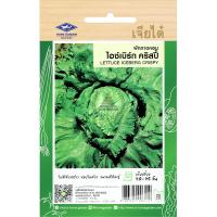 ราคา เมล็ดพันธ์ุ ผักกาดหอม ไอซ์เบิร์ก คริสปี้ 5 กรัม (5,000 เมล็ด)/ซอง ตราเจียไต๋ (1523306709)