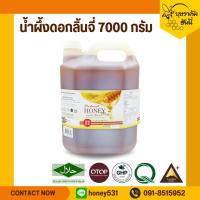 ราคา น้ำผึ้งดอกลิ้นจี่ 7000 กรัม น้ำผึ้งแท้ Lychee Honey 100% (3169696251)