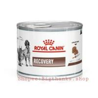 ราคา Royal canin Recovery Exp.14/10/2024 ((จำนวน 6 กระป๋อง)) อาหารสัตว์ป่วย พักฟื้น (7032898256)