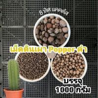 ราคา [JPWTUG ลด 10%] เม็ดดินเผา สีดำ ขนาด 1 กิโล // รองก้นกระถาง โรยตกแต่งกระถาง เป็นวัสดุปลูก แคคตัส กระบองเพชร (6862581324)