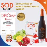 ราคา ของแท้❗ S.O.D MORE เอสโอดี มอร์ ขวด 600มล สารต้านอนุมูลอิสระ ดีที่สุดในโลก กันมะเร็ง ย้อนวัย ผิวพรรณ ผักและผลไม้ อายุยืน (5425272791)