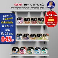 ราคา Cesar ซีซาร์ อาหารเปียกสุนัขแบบถาด ทุกสูตร 100 กรัม (x24ถาด) (2437781412)