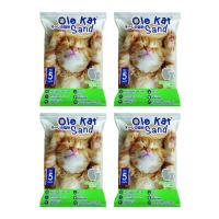 ราคา Ole Kat Sand Deodorizer ทรายแมวถ่านหินธรรมชาติ กลิ่นแอปเปิ้ลเขียว 5 L x 4 ถุง Greatestpetshop (1527407465)