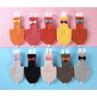 ราคา พร้อมส่ง !! ชุดนกแก้วหลากสี หลายขนาด (5552158548)