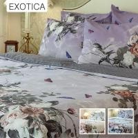ราคา EXOTICA ปลอกผ้านวม ลาย Cologne ขนาด 100”x90” (สำหรับเตียง 6 หรือ 5 ฟุต), 70”x90” (สำหรับเตียง 3.5 ฟุต) (7888656681)