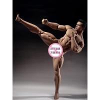 ราคา ตุ๊กตาพร้อมส่ง TBLeague PL2015-M30 M31 M33 กล้ามยาง ไร้หัว เคลื่อนย้ายได้ สําหรับกล้ามเนื้อ ร่างกาย ผู้ชาย (20269159748)