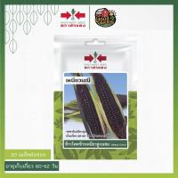 ราคา SORNDAENG ผักซอง ศรแดง W031# ข้าวโพดข้าวเหนียว เหนียวมณี เมล็ดพันธุ์ เมล็ดพันธุ์ลูกผสม เมล็ดพันธุ์ผัก ตราศรแดง (5354277256)