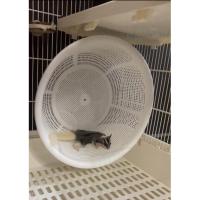 ราคา Treadmill JR (จักรวิ่งชูก้าไกลเดอร์) (18906446313)