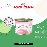 ราคา Royal Canin กระป๋อง mother&baby cat 195g รอยัลคานิน สูตรแมวแรกเกิดและแม่แมวให้นมลูก (4693641473)