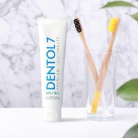 ราคา DENTOL 7 PREMIUM TOOTHPASTE 160 G (17191984309)