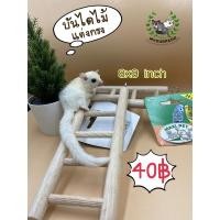 ราคา บันไดไม้ สะพานไม้ ของเล่นไม้ แต่งกรง นก ชูก้า กระรอก หนูแฮมเตอร์ฯลฯ (7193373245)