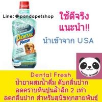 ราคา [ฟรีKerry] Dental Fresh 237ml สูตรดั้งเดิม ขวดเขียว ขวดเล็ก ดับกลิ่นปาก ลดคราบหินปูนล้ำลึก ลดกลิ่นปาก สำหรับสุนัข (783050618)