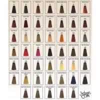 ราคา สีย้อมผม เบอริน่า Berina A1-A47 (21927641316)