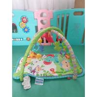 ราคา เพลยิม FisherPrice มือสอง (16258701963)