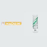 ราคา MAGNUM ลูกแบดมินตัน MN/ 1906, 2905 (9825232309)