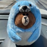 ราคา ตุ๊กตาหมีบราวน์ ชุดแมวน้ำอุ๋งๆ' อ้วนกลมขนาด 23 cm (4017225537)