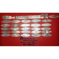 ราคา เบี้ยมุกโบราณ 30 อัน หายาก (4955045389)