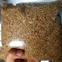 ราคา เมล็ดข้าวสาลี (14640352)