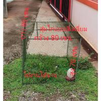 ราคา สุ่มไก่ สุ่มเลี้ยงไก่ กรงเลี้ยงไก่ แบบสี่เหลี่ยม กว้าง 80 เซน ยาว 80 เซน สูง 70 เซน แข็งแรงประกอบพับเก็บง่ายใช้งานได้ดี (18889650904)