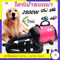 ราคา ไดร์เป่าขนหมา 2800W ไดร์ไล่น้ำ ไดร์ขนสุนัข ไดร์เป่าขนแมว เครื่องเป่าขน ไดร์เป่าขนสัตว์ ไดร์เป่าขนหมา (10338113030)
