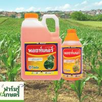 ราคา พอยเตอร์ กำจัดวัชพืช (ใช้แทนไกลโฟเซต) หญ้าข้างทาง หญ้าริมรั้ว ยาฆ่าหญ้า หญ้าใบแคบ หญ้าใบกว้าง ไกลโฟเสท 4 ลิตร (10940447252)