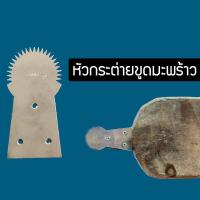 ราคา หัวกระต่ายขูดมะพร้าว ที่ขูดมะพร้าว NGN555 (10419280388)