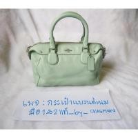 ราคา Coach หมอน 9 นิ้ว สีเขียวเหนี่ยวทรัพย์ (7815378112)