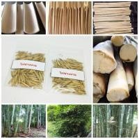 ราคา ขายถูก 200 เมล็ด เมล็ดพันธุ์ไผ่ซางนวล Dendrocalamus membranaceus ไผ่นวล หญ้ายักษ์ พืชเศรษฐกิจ เครื่องจักรสาน (4006209752)
